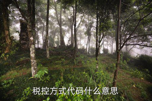 什么叫稅控碼，稅控方式代碼什么意思