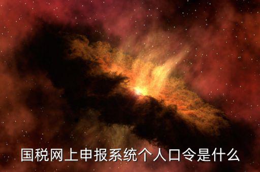 國稅證書口令是什么意思，網(wǎng)上申報國稅系統(tǒng)登陸的口令是什么