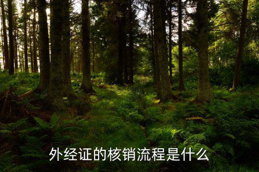 核銷的外經(jīng)證是什么樣，外經(jīng)證核銷是什么意思