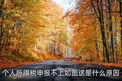 個(gè)稅申報(bào)失敗為什么，8月份個(gè)稅申報(bào)反饋時(shí)申報(bào)失敗怎么回事問專管員說已經(jīng)申報(bào)了但