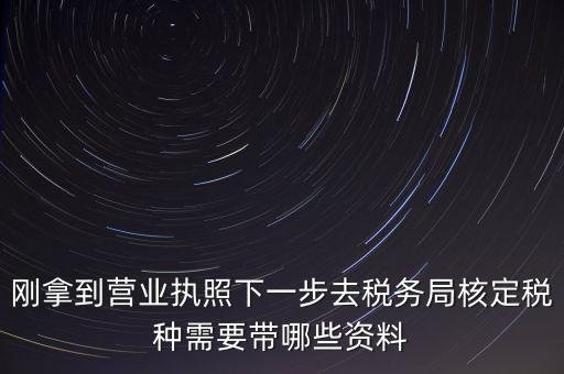 湖北國稅增加稅種需要帶什么資料，企業(yè)報稅種需要帶什么資料
