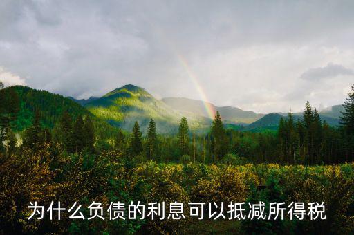 企業(yè)負(fù)債時(shí)稅率有什么優(yōu)惠，企業(yè)所得稅優(yōu)惠政策有哪些