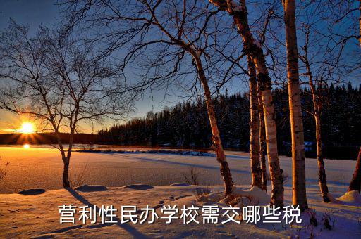 學(xué)校要交什么稅，營利性民辦學(xué)校需交哪些稅