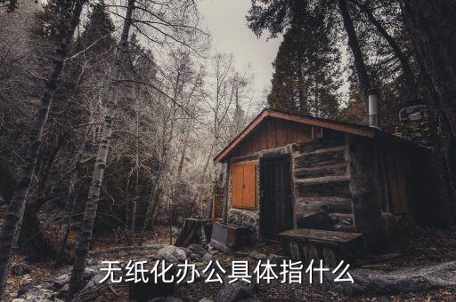 國稅無紙化辦公是什么意思，無紙化辦公具體指什么