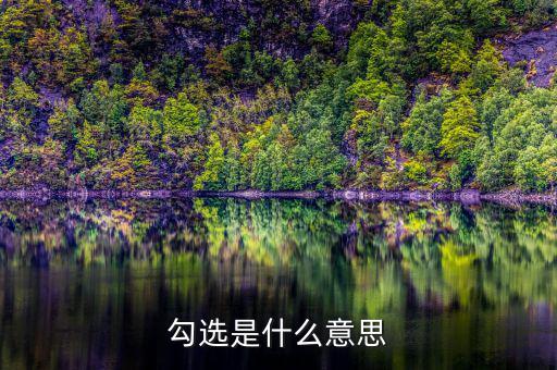 發(fā)票勾選是什么意思，勾選是什么意思