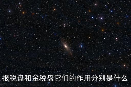 報稅盤做什么用的，報稅盤和金稅盤它們的作用分別是什么