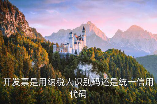 發(fā)票上的信用代碼是什么，現(xiàn)在開發(fā)票要的社會信用代碼是誰的代碼