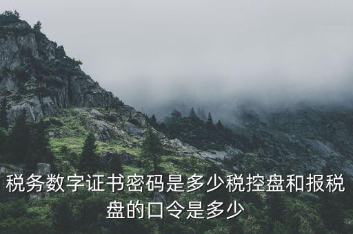 國(guó)稅申報(bào)ca默認(rèn)密碼是什么意思，國(guó)家稅務(wù)總局網(wǎng)上辦稅服務(wù)廳初始密碼是什么