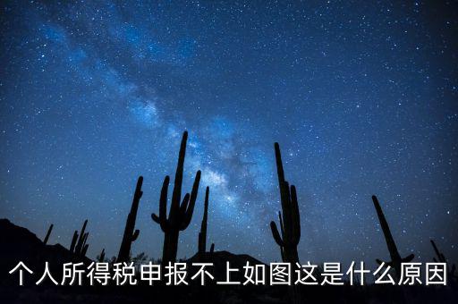 個稅申報不成功什么原因，個人所得稅申報不上如圖這是什么原因