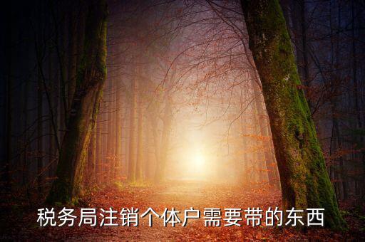 稅務(wù)局注銷(xiāo)個(gè)體戶需要帶的東西