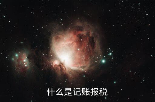 報(bào)稅記錄是指什么，報(bào)稅是什么意思 報(bào)稅的含義