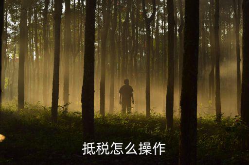 辦理抵稅流程是什么，電子稅務(wù)局退抵稅流程
