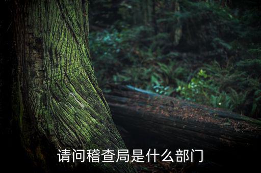 稅務(wù)稽查局有什么權(quán)利，稅務(wù)稽查局是否具有行政處罰權(quán)