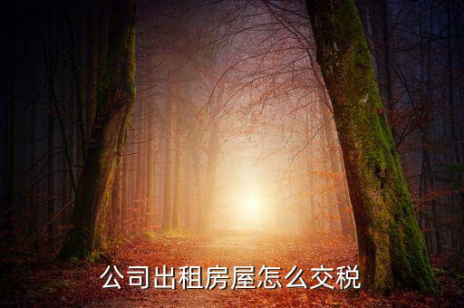 企業(yè)承租房屋交什么稅，公司租賃房屋需要交哪些稅