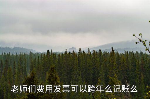 什么發(fā)票可以跨年入賬，增值稅專用發(fā)票可以跨年做賬嗎