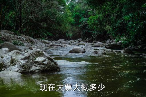 車輛大票是額多少什么，現(xiàn)在大票大概多少