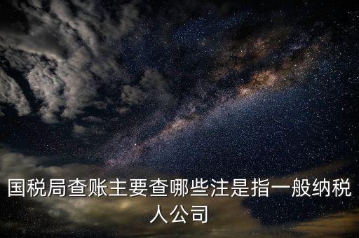 一般納稅人國(guó)稅都查什么呀，申請(qǐng)一般納稅人稅務(wù)局要過(guò)來(lái)看看都看什么