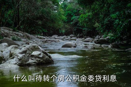 什么是委貸利息，委托貸款利息計(jì)算