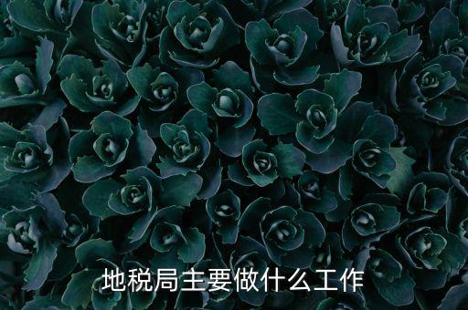 地稅局主要管什么的，地稅局工作的主要內(nèi)容