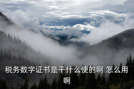 安徽國(guó)稅局?jǐn)?shù)字證書(shū)是什么意思，稅務(wù)數(shù)字證書(shū)是干什么使的啊 怎么用啊