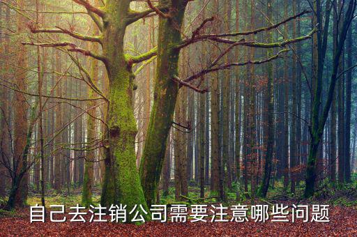 企業(yè)注銷需要注意什么，公司撤銷與注銷有哪些注意事項