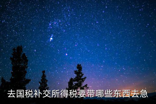 去國稅補(bǔ)繳增值稅要帶什么，增值稅零申報逾期申報了48天 到國稅補(bǔ)申報需要準(zhǔn)備什么資料 帶什么
