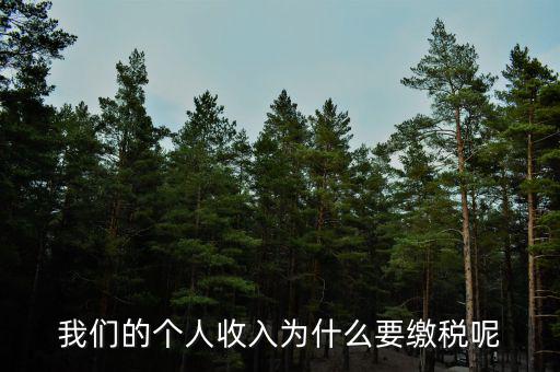 為什么要上個(gè)人所得稅，我們的個(gè)人收入為什么要繳稅呢