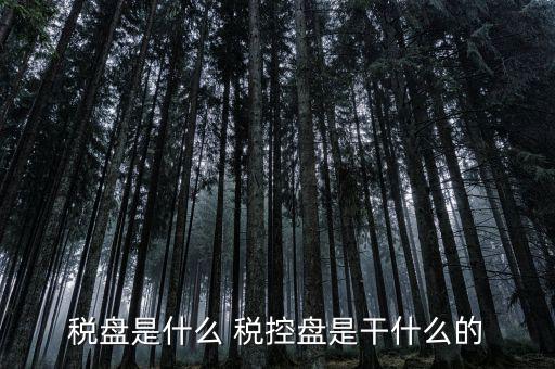 稅盤(pán)是什么 稅控盤(pán)是干什么的
