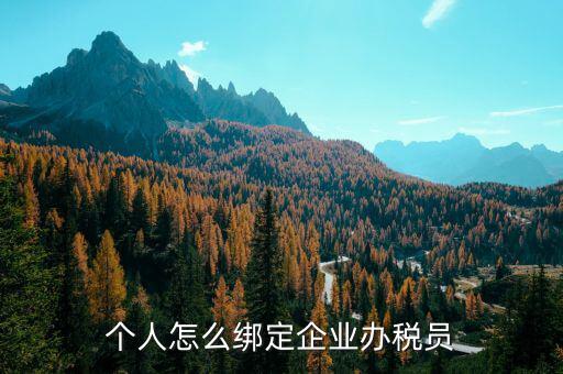 辦稅人員該綁定什么人，個人怎么綁定企業(yè)辦稅員