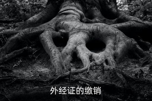 廈門繳銷外經證國稅什么資料，廈門國稅需銷項合同是什么