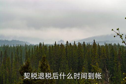退稅款什么時候到賬，出口退稅款一般多久到賬