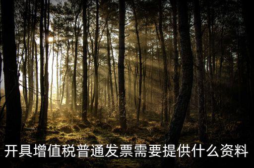 開增值稅提供什么資料，開具增值稅普通發(fā)票需要提供什么資料