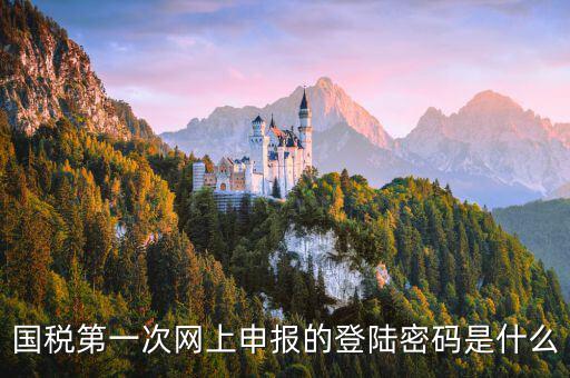 國稅網(wǎng)報口令是什么，國稅第一次網(wǎng)上申報的登陸密碼是什么