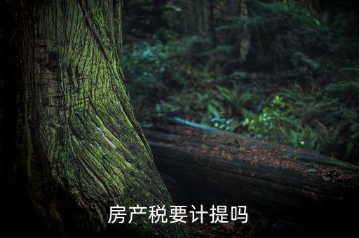 房產(chǎn)稅列入什么費用，房產(chǎn)稅要計提嗎