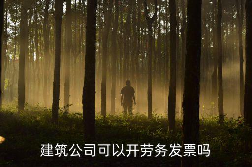 建筑行業(yè)開什么發(fā)票，建筑公司可以開勞務(wù)發(fā)票嗎