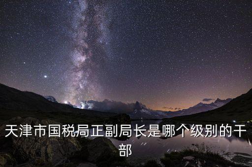 國(guó)稅局副局長(zhǎng)是什么級(jí)別，天津市國(guó)稅局正副局長(zhǎng)是哪個(gè)級(jí)別的干部