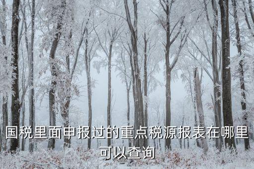 重點(diǎn)稅源預(yù)測網(wǎng)址是什么，國稅里面申報(bào)過的重點(diǎn)稅源報(bào)表在哪里可以查詢