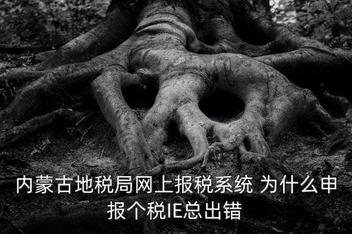 為什么內(nèi)蒙古國(guó)地稅網(wǎng)進(jìn)不去，windows7內(nèi)蒙古地稅報(bào)稅系統(tǒng)顯示無(wú)法顯示該網(wǎng)頁(yè)
