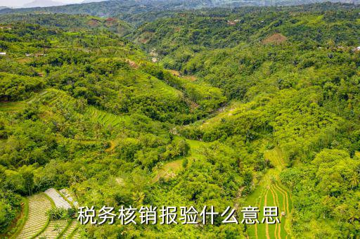 地稅核銷報(bào)驗(yàn)是什么意思，地稅發(fā)票報(bào)驗(yàn)是什么回事啊 怎么報(bào)驗(yàn)什么時(shí)候報(bào)驗(yàn)啊