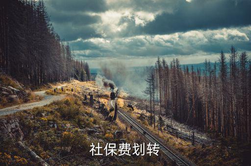 社保費(fèi)征管職責(zé)劃轉(zhuǎn)移交些什么，2020年新疆社會(huì)保險(xiǎn)費(fèi)征管職責(zé)劃轉(zhuǎn)包包括哪些內(nèi)容