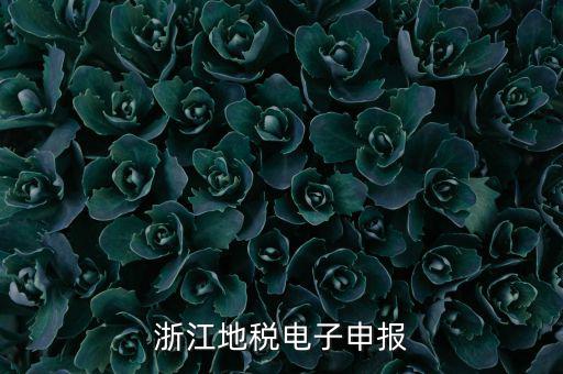浙江地稅申報的是什么，浙江地稅怎么申報