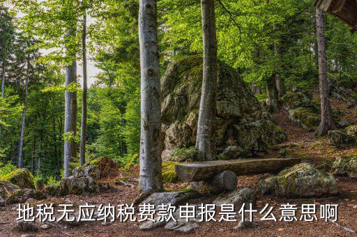 地稅無稅申報包括什么，地稅申報表無稅申報是什么意思我這個月要0申報是點擊