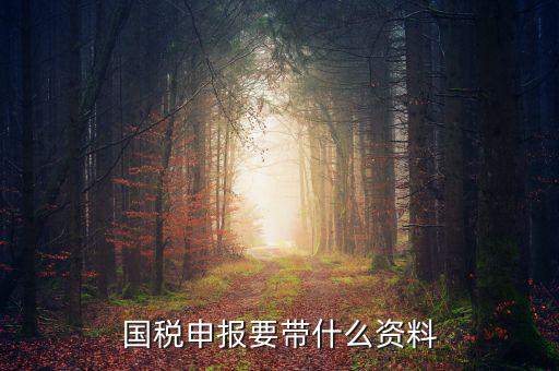 國稅注冊(cè)需要什么資料，國稅登記需要帶什么資料