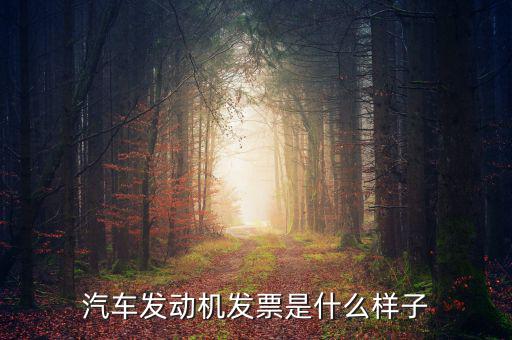 國稅出的機動車發(fā)票是什么樣的，汽車發(fā)動機發(fā)票是什么樣子