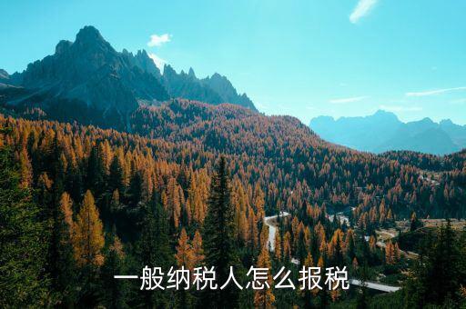 四川一般納稅人用什么申報(bào)國(guó)稅，一般納稅人報(bào)稅的詳細(xì)流程