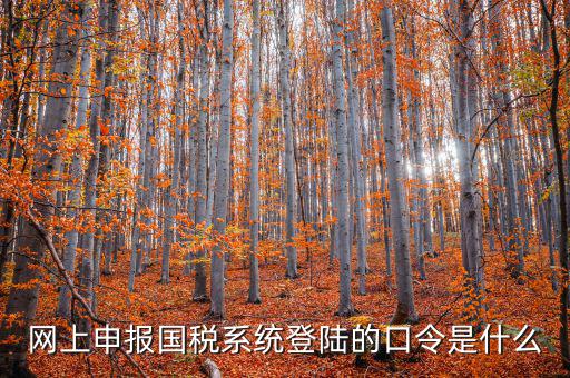 國稅網(wǎng)報口令是什么意思，網(wǎng)上申報國稅系統(tǒng)登陸的口令是什么