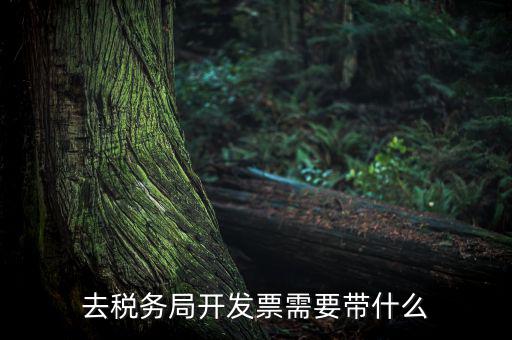 紹興市國稅購增值稅發(fā)票需要帶什么，到稅務(wù)局開增值稅專用發(fā)票帶什么