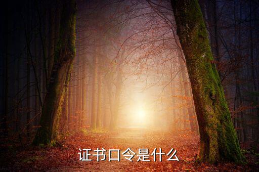 新稅盤證書口令是什么意思，金稅盤口令有什么用