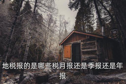 2017地稅月報(bào)的有什么，公司是小規(guī)模納稅人月報(bào)和季報(bào)時(shí)國(guó)稅和地稅各需報(bào)什么  搜