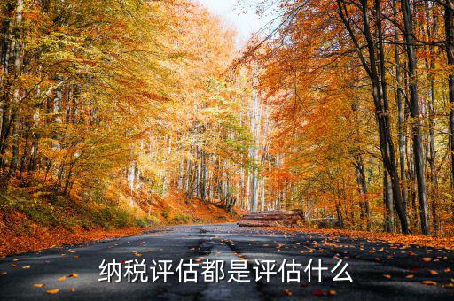 什么是稅務局企業(yè)評估，納稅評估都是評估什么